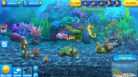 fish tycoon|Fish Tycoon .